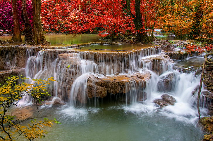 autumn, forest, stream, waterfalls, rocks, rapids, HD wallpaper