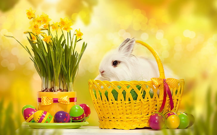 White Curious Rabbit, 2014 easter, easter eggs, 2014 easter eggs, HD wallpaper