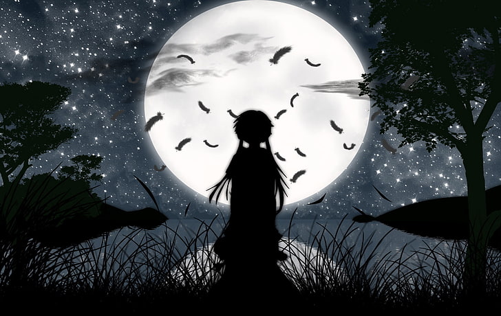 HD wallpaper: silhouette of girl looking at moon wallpaper, Mirai, Mirai  Nikki | Wallpaper Flare