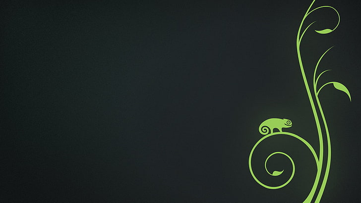 chameleon on vine illustration, openSUSE, Linux, green color