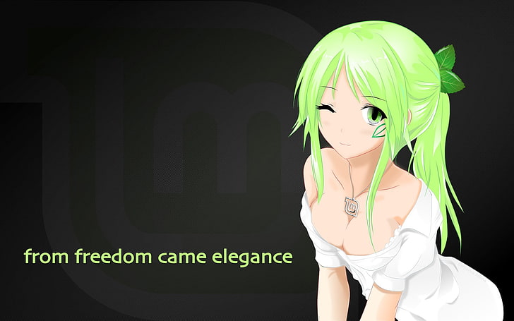 green-haired female animate character, Linux Mint, os-tan, representation
