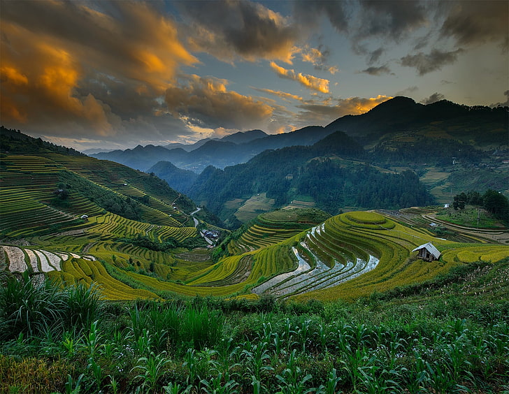 green mountains, the sky, clouds, hills, field, Vietnam, Mu Cang Chai District, HD wallpaper