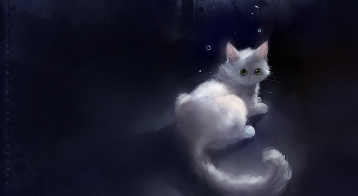 Yang Cat, short-haired white cat, Artistic, Fantasy, Beautiful, HD wallpaper