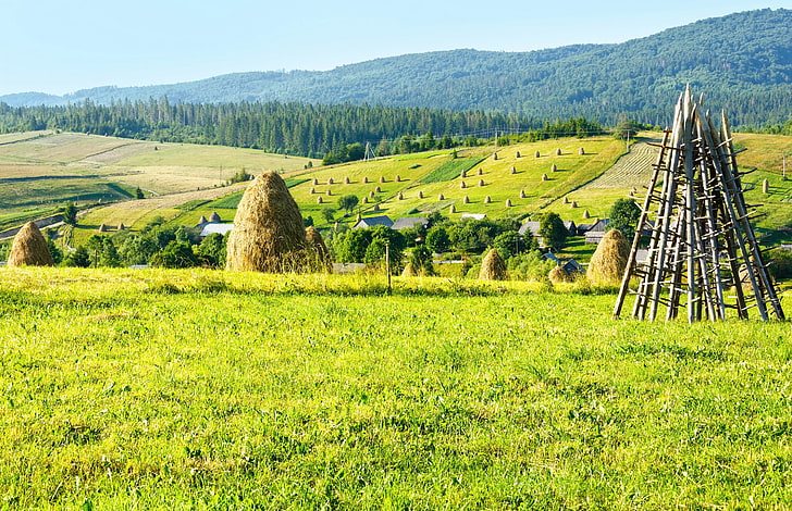 brown haystack, field, forest, mountains, nature, Ukraine, Carpathians, HD wallpaper