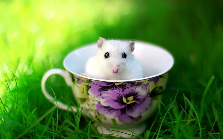 Mouse in a cup, green black and purple floral ceramic teacup and white mouse