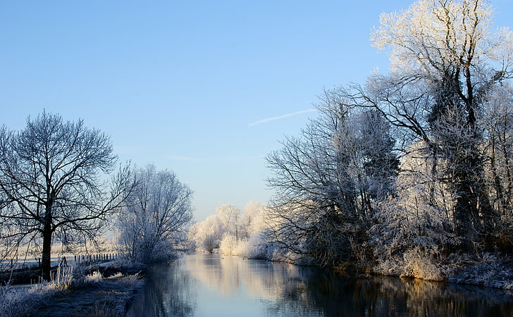 Crooked Rhine River   Winter, snow-covered trees, Seasons, Blue