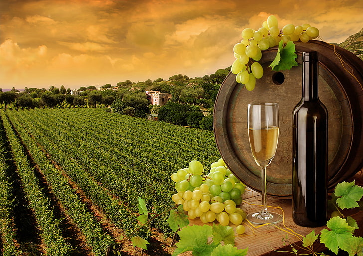 clear flute glass, leaves, wine, white, bottle, grapes, barrel