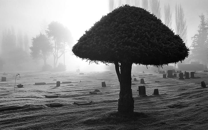Dark Horror Gothic Cemetary Grave Black White Spooky Creepy Lfog Mist Mood Gallery