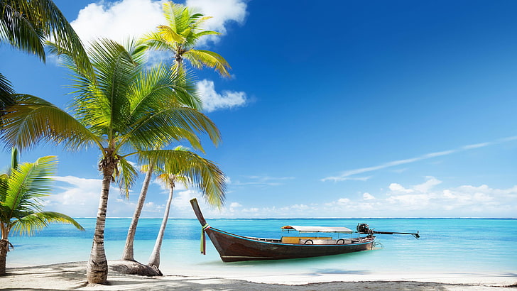HD wallpaper: ocean, summer, blue sea, blue sky, palms, beach, tourism,  water | Wallpaper Flare