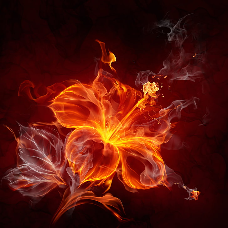 flame flower digital wallpaper, abstraction, fire, fire - Natural Phenomenon