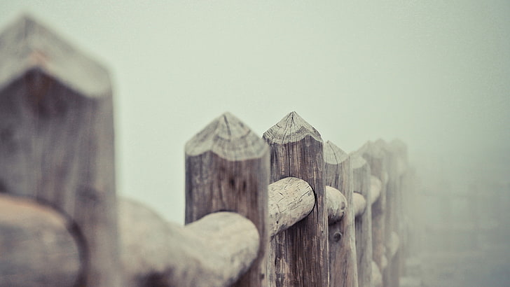 brown wooden fence, photography, nature, mist, depth of field