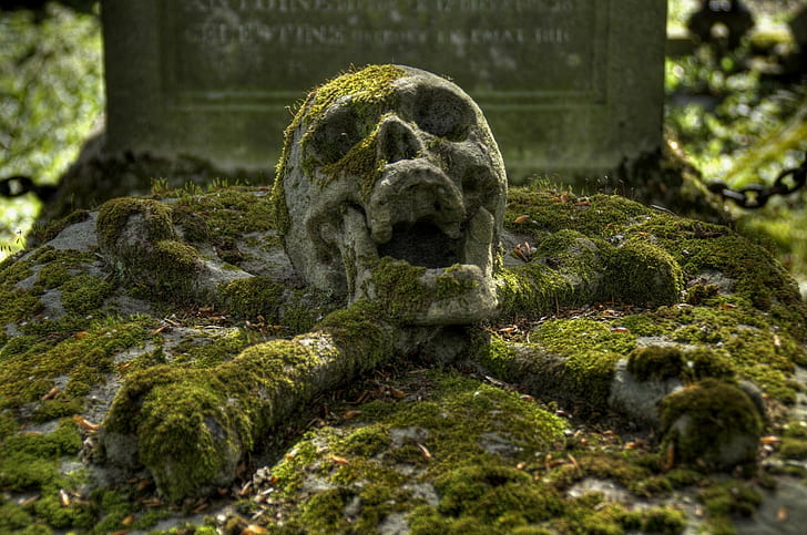 graveyards, skull, skull and bones