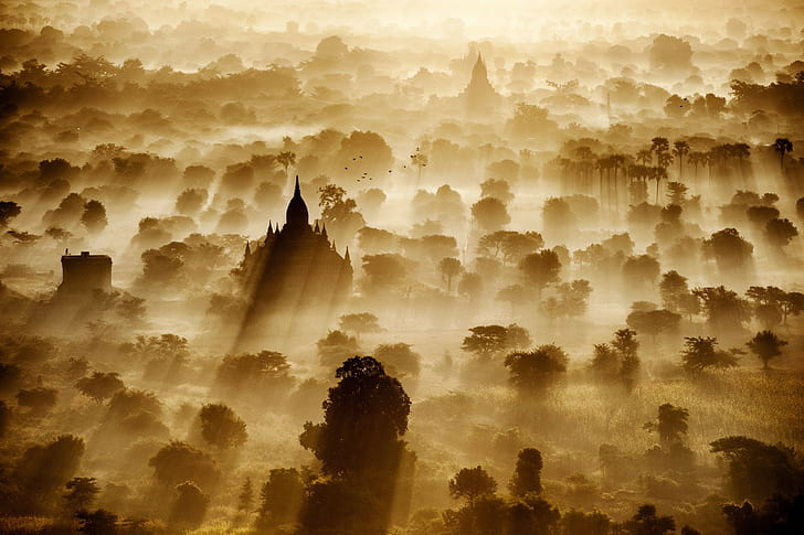 trees, sunlight, landscape, Burma, artwork, Bagan, nature, temple, HD wallpaper