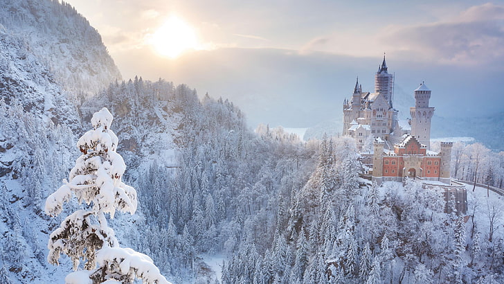 morning, landscape, castle, germany, bavaria, neuschwanstein castle, HD wallpaper