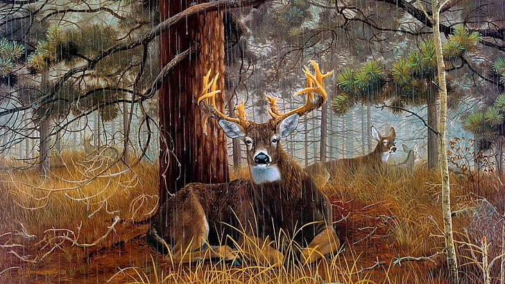 wildlife, deer, painting, rainy day, raining, tree, forest, HD wallpaper