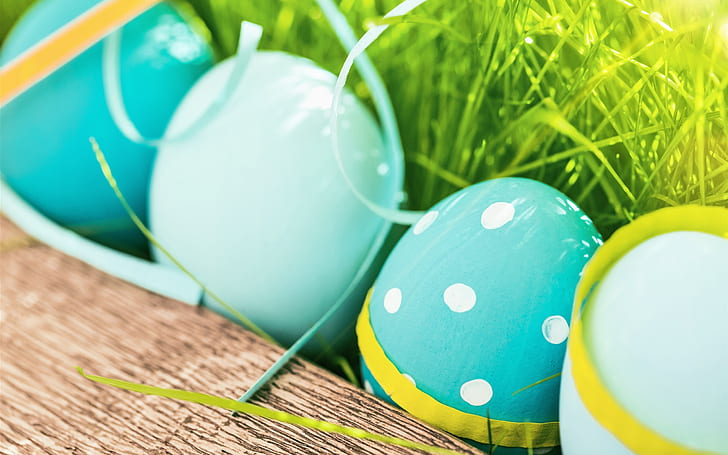 Happy Easter, blue color eggs, grass, spring, teal easter eggs