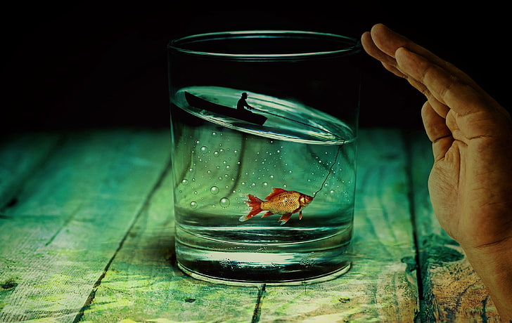 clear glass cup, fish, fisherman, photoshop, whiskey, drink, liquid, HD wallpaper