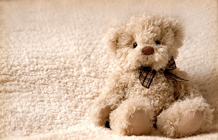 beige bear plush toy, teddy, teddy Bear, fluffy, cute, softness, HD wallpaper