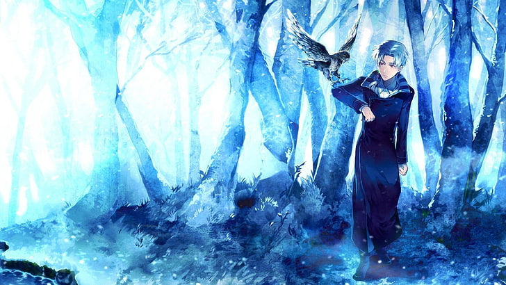 anime, birds, artwork, fantasy art, one person, young adult