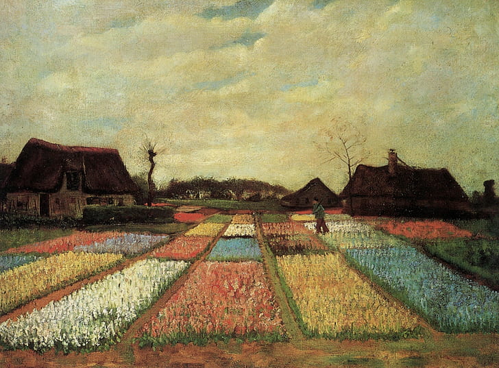 Vincent van Gogh, Early paintings, plantation flowers, Bulb Fields, HD wallpaper
