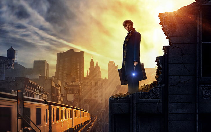 Fantastic Beasts and Where to Find Them 4K, HD wallpaper