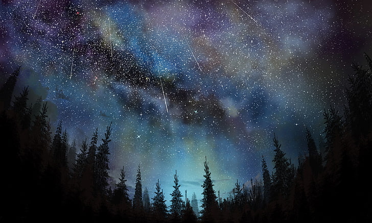 aurora borealis, sky, stars, meteors, night, trees, astronomy