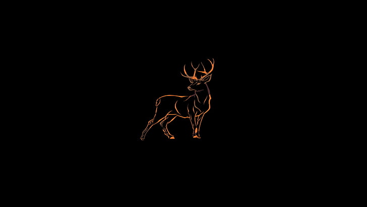 deer, wildlife, copy space, black background, studio shot, illuminated, HD wallpaper