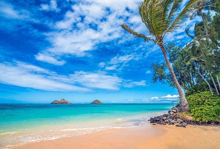 palm trees, the ocean, coast, Hawaii, Pacific Ocean, The Pacific ocean, HD wallpaper