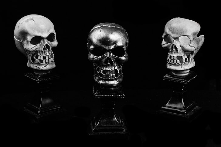 500px, skull, dark, human skeleton, bone, human skull, black background