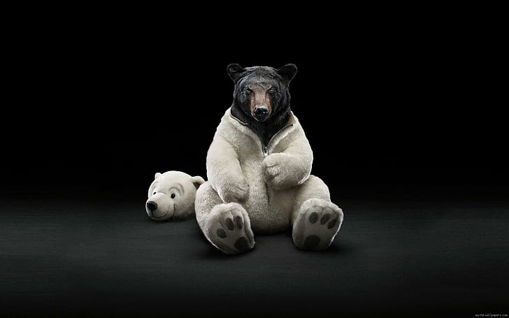 Black bear in Polar bear costume, white and black bear plush toy, HD wallpaper