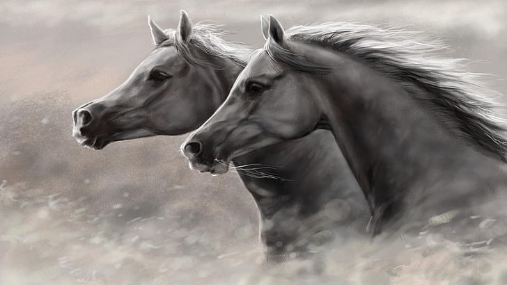 horse, mane, black and white, mustang horse, artwork, stallion, HD wallpaper
