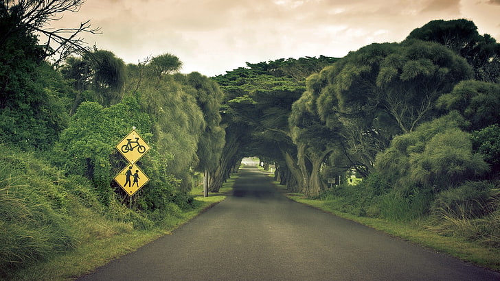 yellow and black signage, road, trees, signs, highway, landscape, HD wallpaper