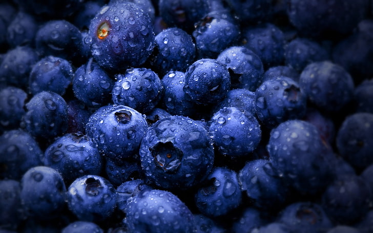 blueberry lot, bunch of blueberries, food, fruit, wet, macro, HD wallpaper