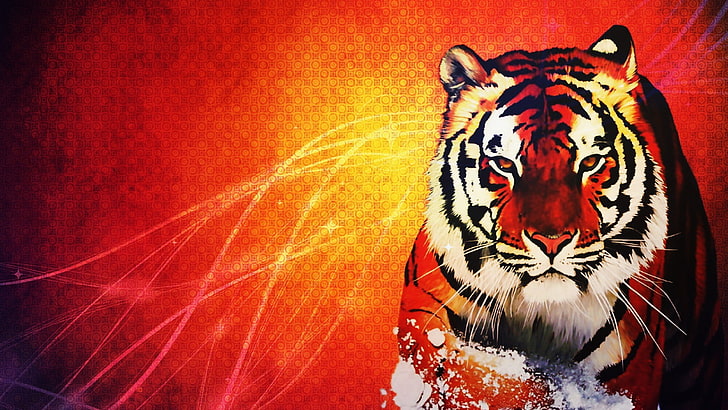 tiger, orange, animals, wildlife, animal themes, feline, mammal, HD wallpaper