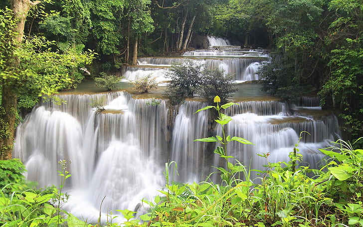 Thailand, forest, jungle, river, waterfalls, stream, trees, waterfalls and green grass