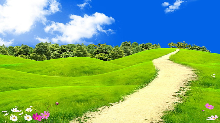 fields, sky, grassland, nature, blue sky, meadow, footpath, HD wallpaper