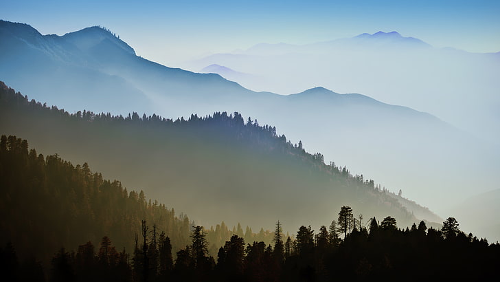 silhouette of mountain, forest, sky, Smoky Mountains, mist, nature