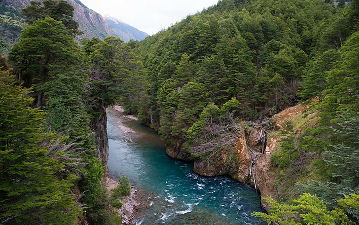 Nature, Landscape, Mountain, River, Forest, Chile, Green, Water, Turquoise