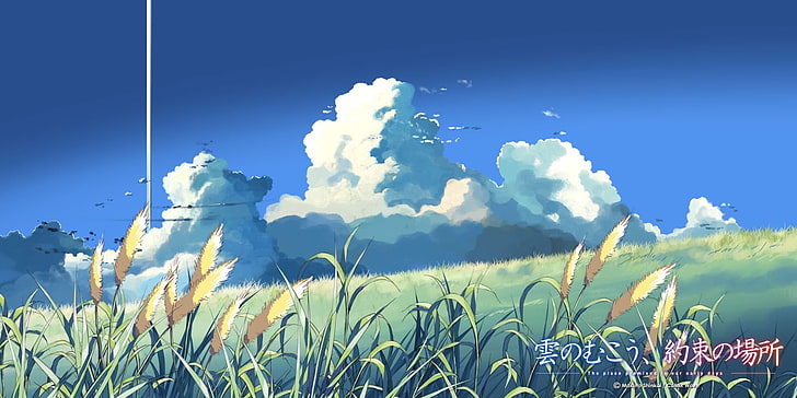 grass field digital wallpaper, The Place Promised In Our Early Days, HD wallpaper