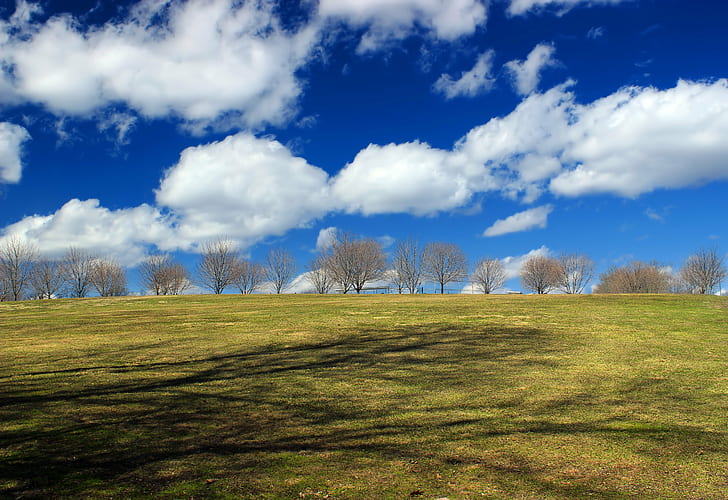 leafless trees under blue sky with clouds, Perimeter, Trail, Pennsylvania, HD wallpaper