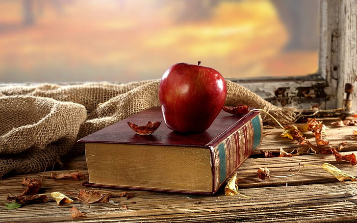 Book Apple Leaves Dry Autumn, HD wallpaper