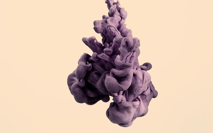 purple color explosion, abstract, studio shot, indoors, nature, HD wallpaper