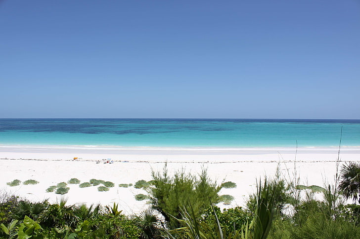 bahamas, beach, eleuthera, green, ocean, paradise, sand, tropics, HD wallpaper