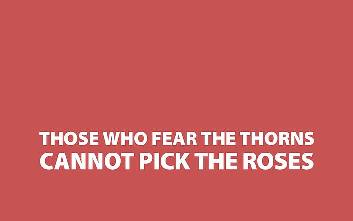 Those whose fear the thorns cannot pick the roses, quote, simple background