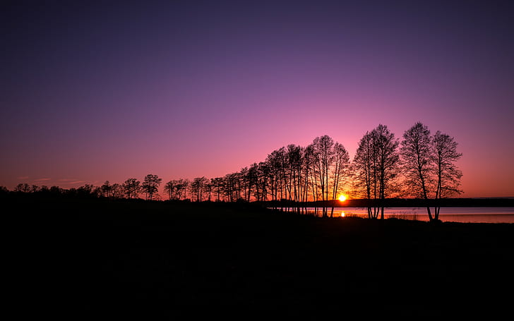 landscape, nature, silhouette, trees, clear sky, sunset, evening, HD wallpaper