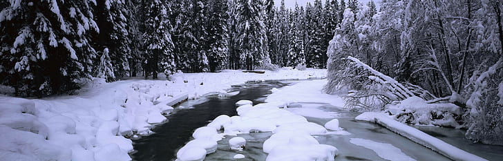 ice, river, forest, snow, trees