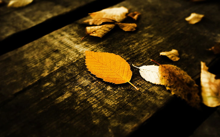 black and brown wooden table, leaves, wooden surface, wood - material, HD wallpaper
