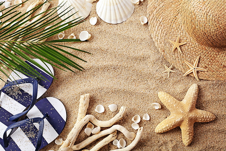 sand, beach, summer, hat, glasses, shell, vacation, starfish, HD wallpaper