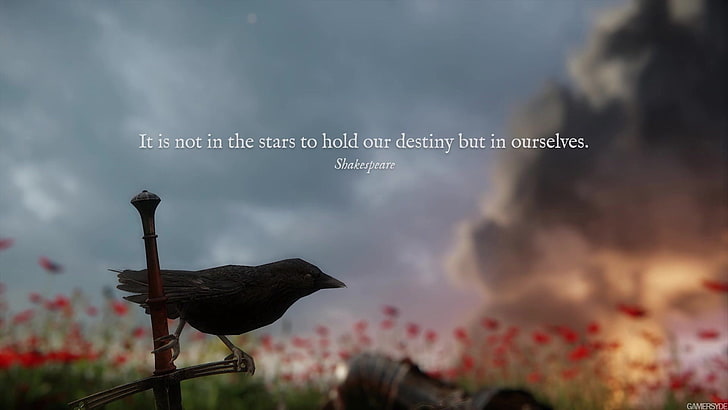 silhouette of bird with text overlay, video games, Kingdom Come: Deliverance, HD wallpaper