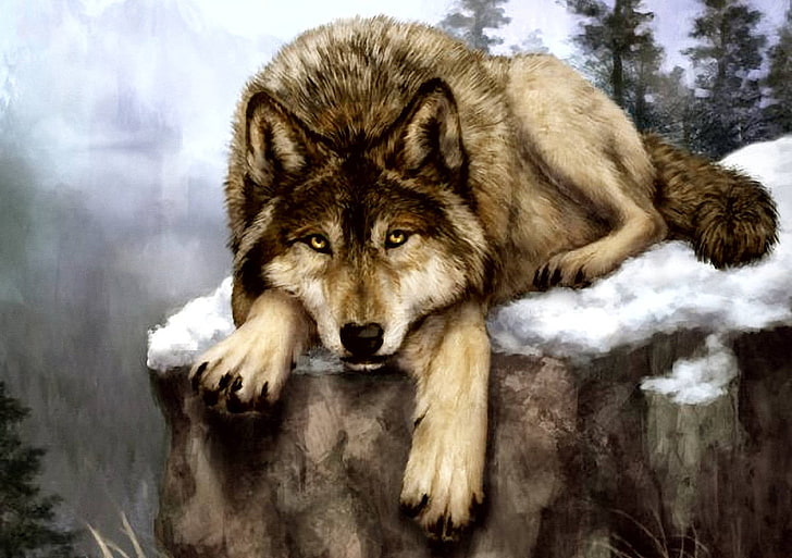 brown wolf painting, snow, winter, cold temperature, one animal, HD wallpaper